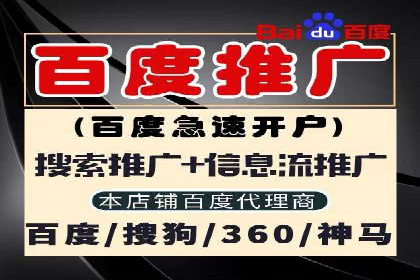 搜索引擎营销（SEM）的广告创意与落地页设计——以某成功创业公司的实践为例